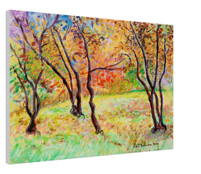 Colourful Trees - Canvas