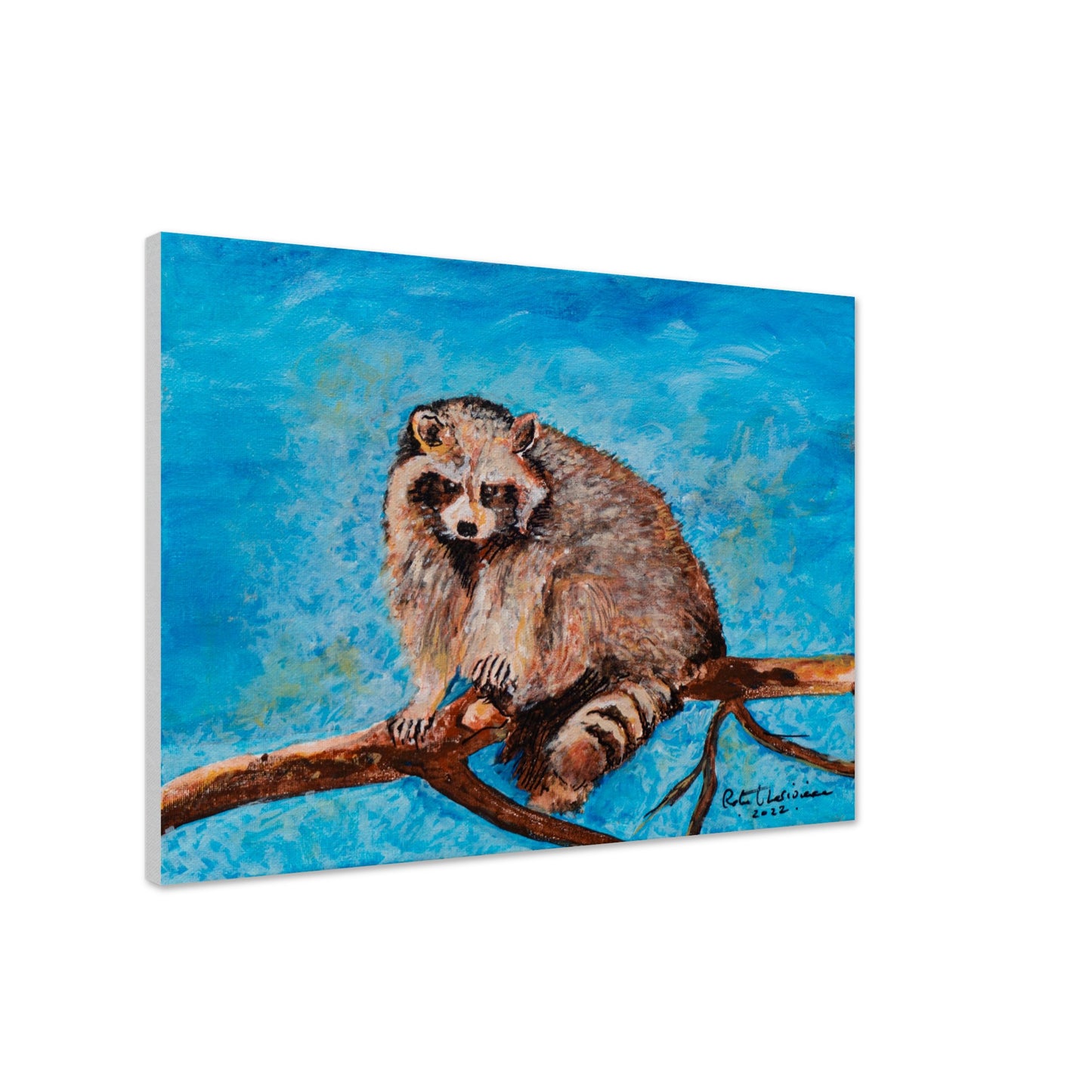 Big Raccoon - Canvas
