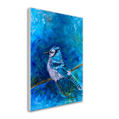 Blue Jay #1 - Canvas