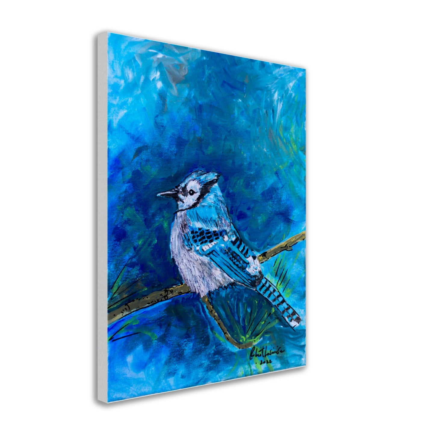 Blue Jay #1 - Canvas