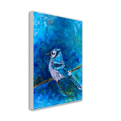 Blue Jay #1 - Canvas