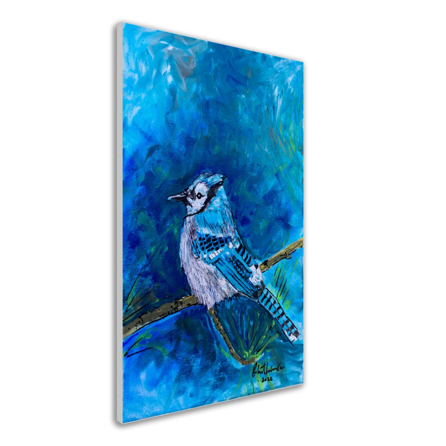 Blue Jay #1 - Canvas