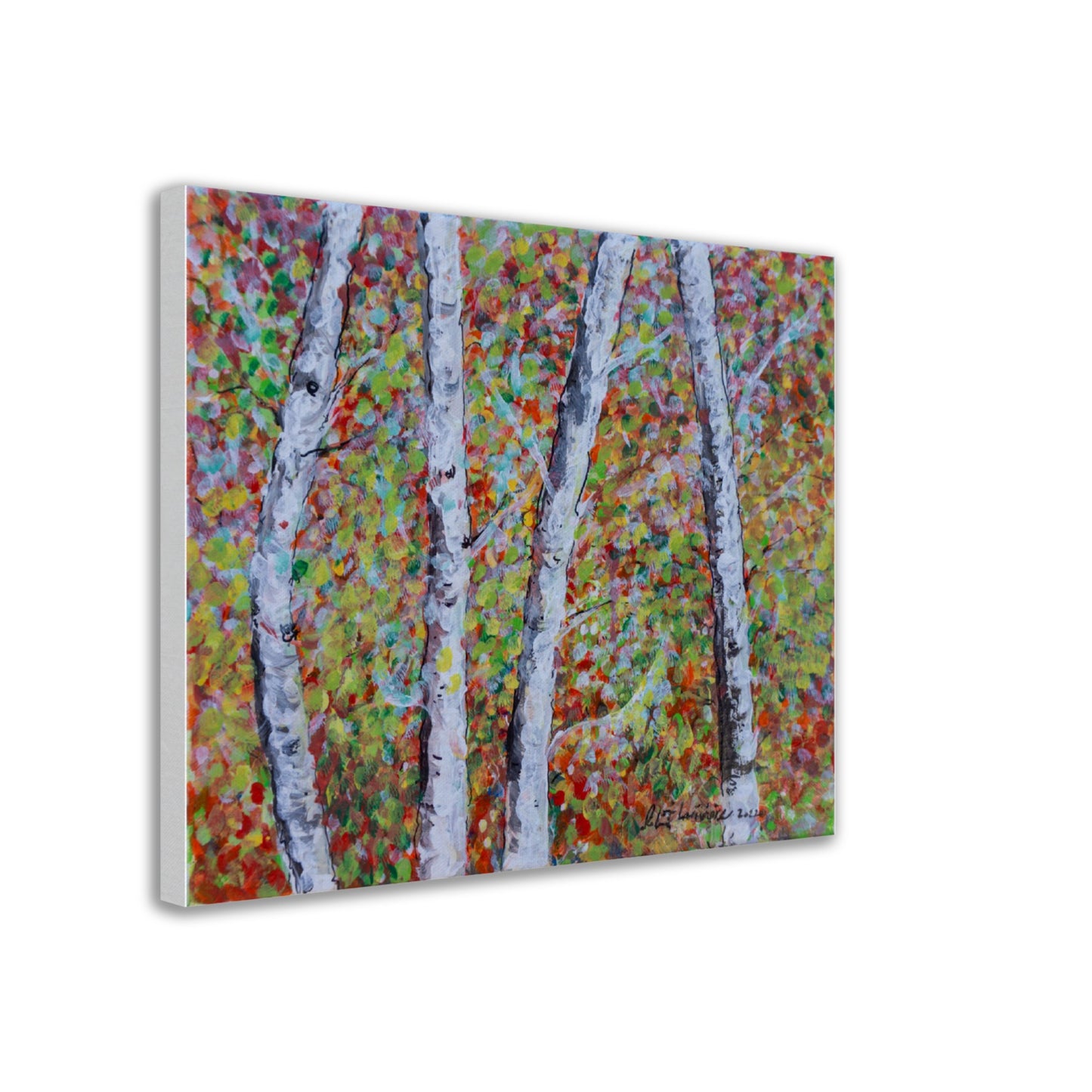 Fall Birch Trees - Canvas