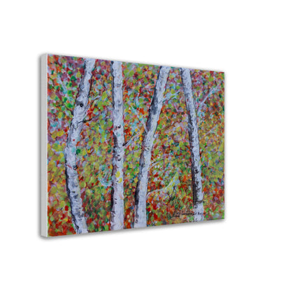Fall Birch Trees - Canvas